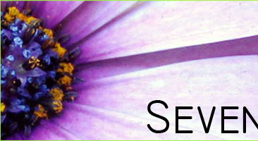 Thumb Image